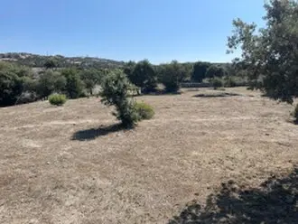 Desbrozamos terrenos y zona forestales Gerona