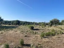 Desbrozamos fincas Gerona limpiamos parcelas