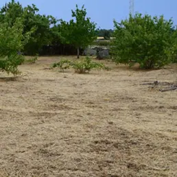 Desbroces de parcelas y limpiezas de fincas.