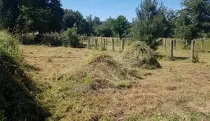 Desbroce y limpieza fincas Toledo y provincia provincia de toledo, Limpieza y desbroce fincas parcelas