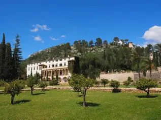 Desbroces de fincas y limpiezas de terrenos, Toledo