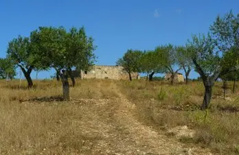 Desbrozamos fincas y limpiamos parcelas en provincia de Toledo