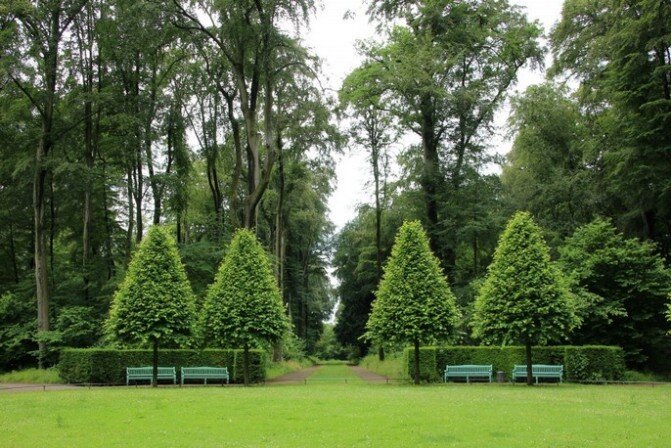 Servicio de Jardinería Mantenimiento de jardines