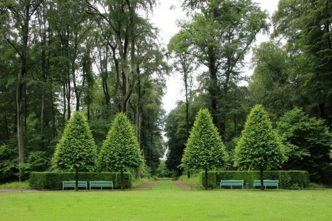 Servicio de Jardinería Mantenimiento de jardines