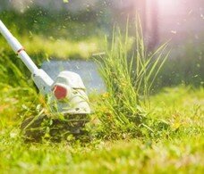 Eliminación de malas hierbas Eliminación de malas hierbas