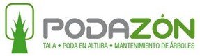 Tala y podas de arboles en altura Limpieza de ramas y mantenimiento