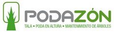 Tala y podas de arboles en altura Limpieza de ramas