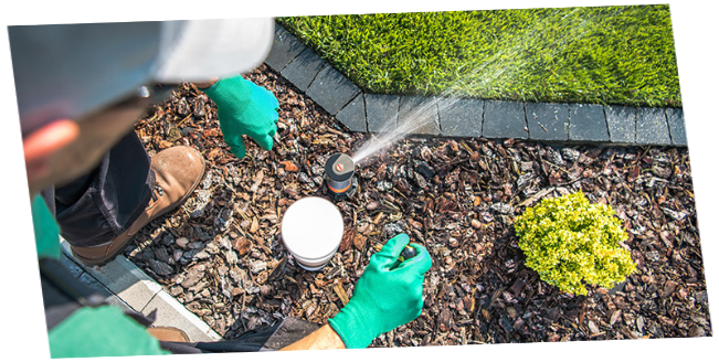 Servicio de Jardinería Riego automatico RIEGO AUTOMATICO